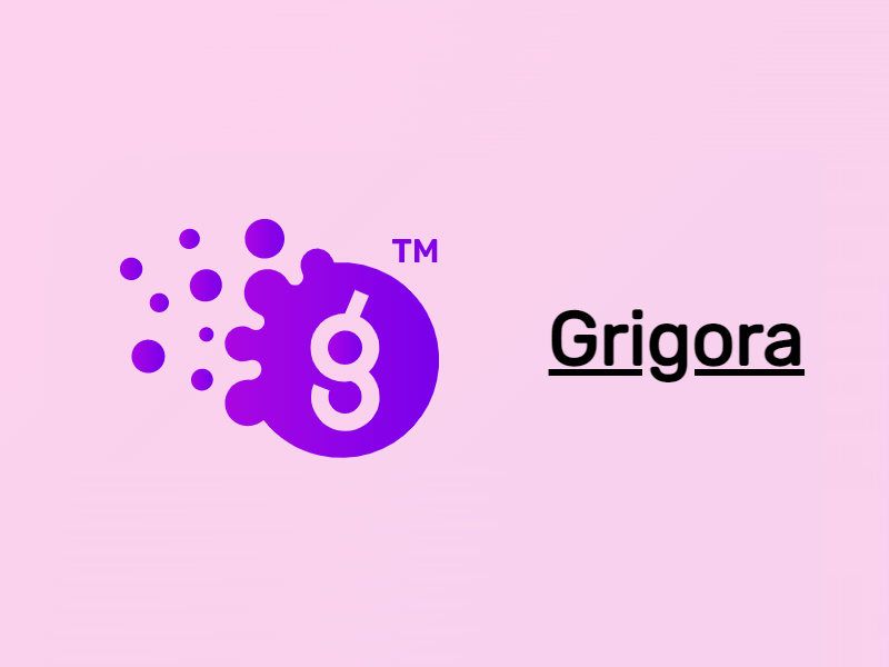 Rédaction web SEO Grigora blocks la Webeuse
